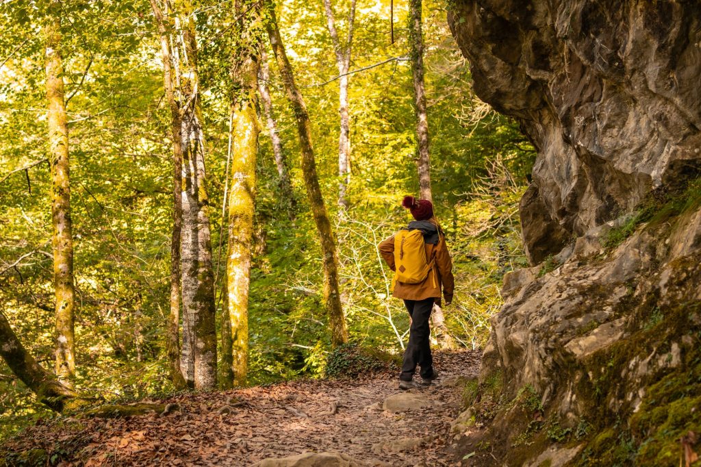 Path towards the suspension bridge of Holtzarte, Larrau. In the forest